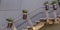 Stairs of a white building with potted plants