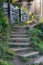 Stairs Wind Up a Trail Into Pine Forest