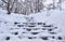 Stairs in winter park covered with snow.