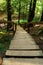 Stairs. Wooden stairs down in the forest with tall trees