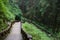 Stairway in Alishan