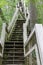 Stairway Ascending a Ravine in a Deciduous Forest