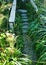 Stairway beach access overgrown Oregon Ocean