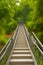 Stairway bridge through the forest generated by ai