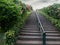 Stairway in a flowery hill