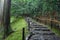 Stairway into the forest