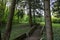 Stairway in the forest in a suburban recreational and relaxing location in the Bratislava Forest Park