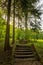 Stairway in the forest with sunlight backgrounds in a suburban recreational and relaxing location in the Bratislava Forest Park