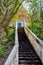 Stairway going up to the buddhist temple in jungle forest