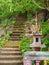 Stairway going up to the buddhist temple in jungle forest