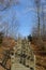 Stairway leading to the sky on hiking trail in NYS