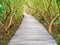 Stairway leading to the tropical mangrove in the sea shore