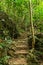 stairway stairs Kim Giao Forest and Ngu Lam Peak