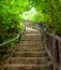 Stairway to forest