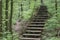 Stairway to forest Generated by Ai