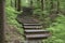 Stairway to forest Generated by Ai