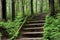 Stairway to forest Generated by Ai