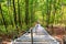 Stairway to heaven, lush green trees and a stairway to a Buddhist temple inside cave at Ban Huai Sakae, Phetchabun Thailand.