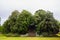 Stairway to heaven or nowhere - Old folly in England - mound covered with trees and stairs to top in beautiful green lawn