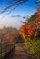 Stairway to Mt. Fuji in Autumn, Fujiyoshida, Japan
