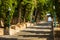 Stairway to Sant Salvador castle in Arta city