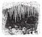 Stalactite in cave, vintage engraving