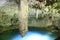 Stalactite at the Suytan Cenote in Mexico