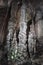 Stalactite in the underground