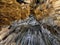 Stalactites on the cave`s ceiling