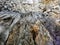 Stalactites on the cave`s ceiling