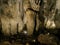 Stalactites and Columns of Upper Barac Cave, Croatia