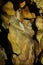 Stalactites found in Chiang Dao Cave, Chiang Mai Province, Thailand.