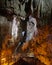 Stalactites hanging over a stairway in underground semi submersed cave