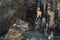 Stalactites inside the cave