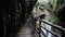 Stalactites over a wooden walkway in a cave crossed by stream