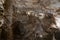 Stalactites and stalactites inside the Lehman caves, Nevada