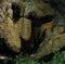 Stalactites and stalactites in Thailand