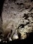 Stalactites and Stalagmite and other rock formations inside the Big Room in Carlsbad Cavern