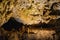 Stalactites and stalagmites in Demanovska cave of Liberty, Slovakia, Geological formations