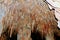 Stalactites and stalagmites inside Damlatas Cave Alanya, Turkey