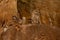 Stalactites stalagmites marble caves