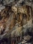 Stalactites and stalagmites in Valporquero`s cave Spain