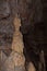 Stalagmite like horned satyr