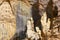 Stalagmites in the cave