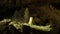 Stalagmites in the cave, close-up photography