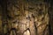 Stalagmites inside underground cave