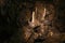 Stalagmites in pooles cavern in buxton