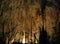 Stalagmites & Stalactites in Carlsbad Caverns