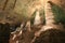 Stalagmites and stalactites in the Carlsbad Caverns National Park, USA