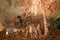 Stalagmites and stalactites in the Carlsbad Caverns National Park, USA